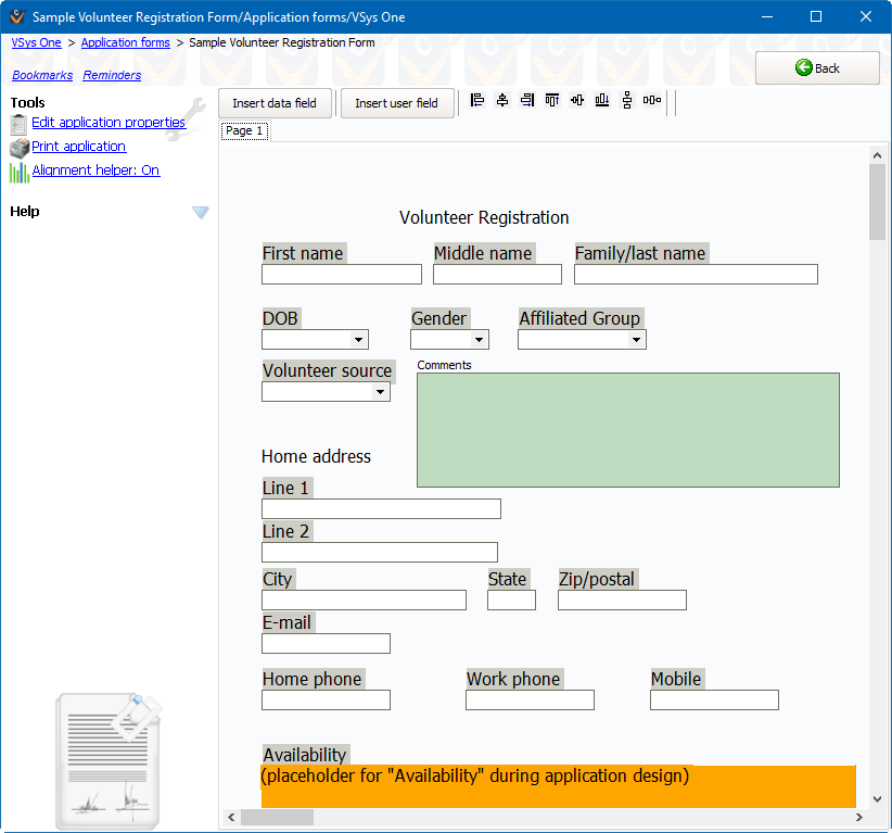 Custom application form layout screen