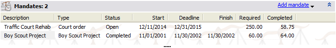 Mandate Panel in Profile Editor