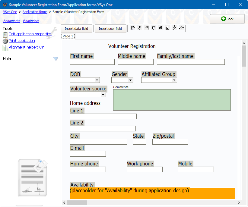 Custom application form layout screen