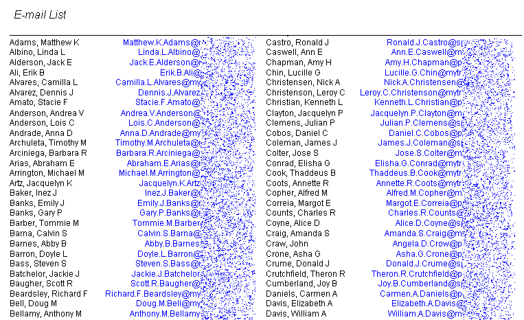Sample E-mail List Report
